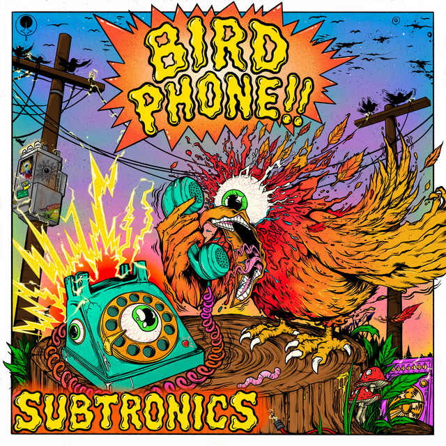 Bird Phone cover art